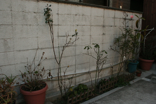 f0123712_18545396.jpg