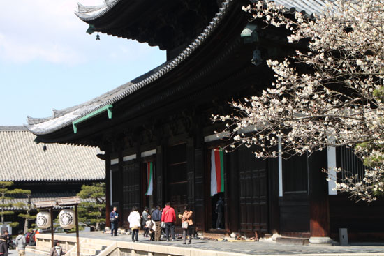 東福寺 涅槃会_e0048413_21104510.jpg