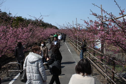 日曜日はお出かけ～♪　③_b0093515_749131.jpg