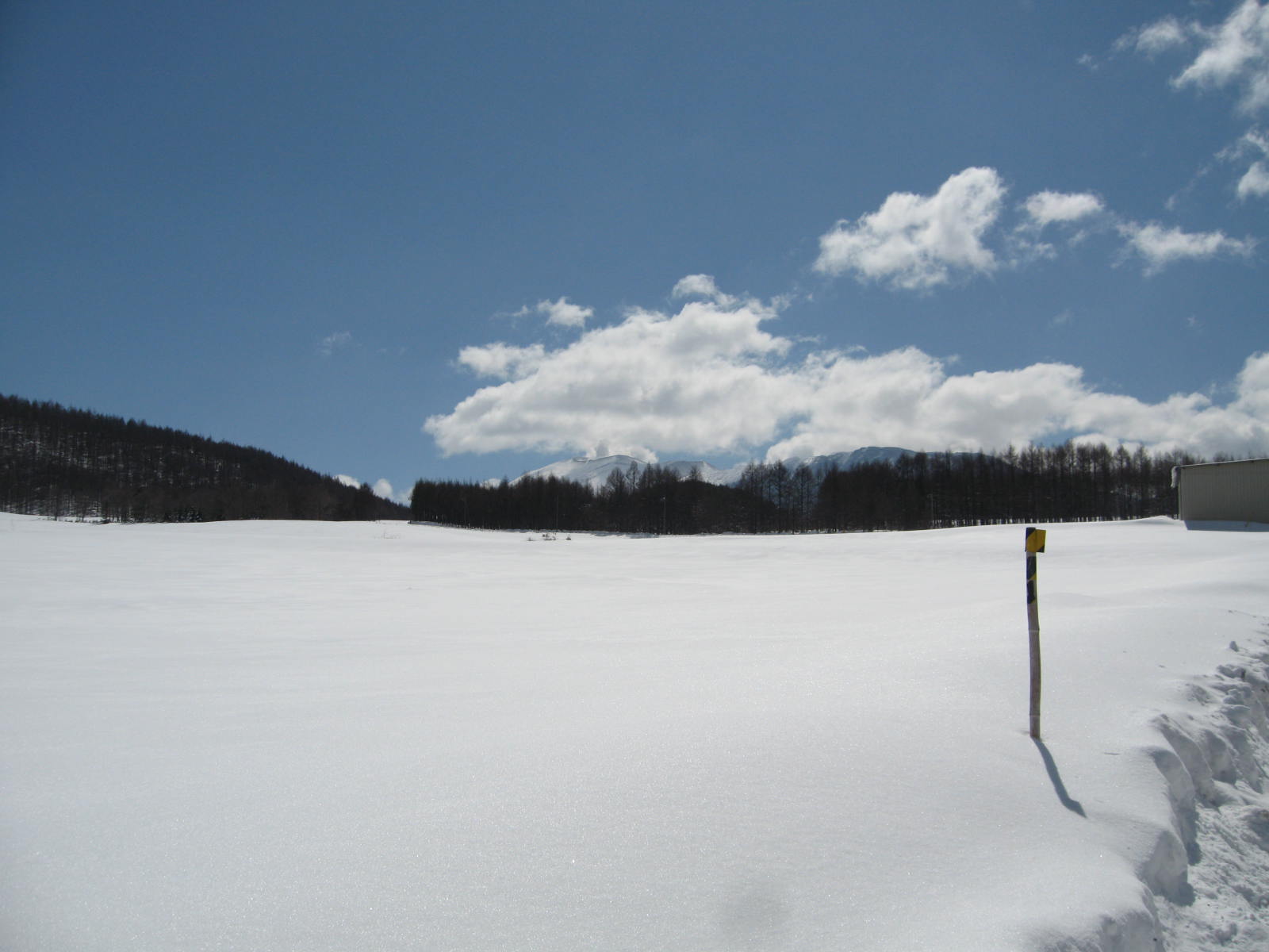 雪の後の景色は最高!_f0146620_12533851.jpg