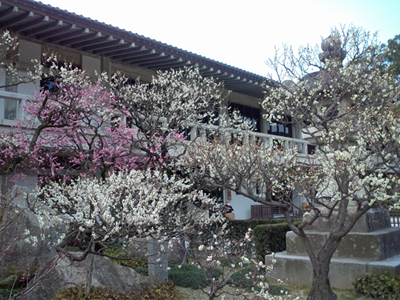 a0129233_20105711.jpg