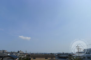 ∵早朝の吉報に、ココロも目覚め チカラ湧く!_d0040733_185563.jpg