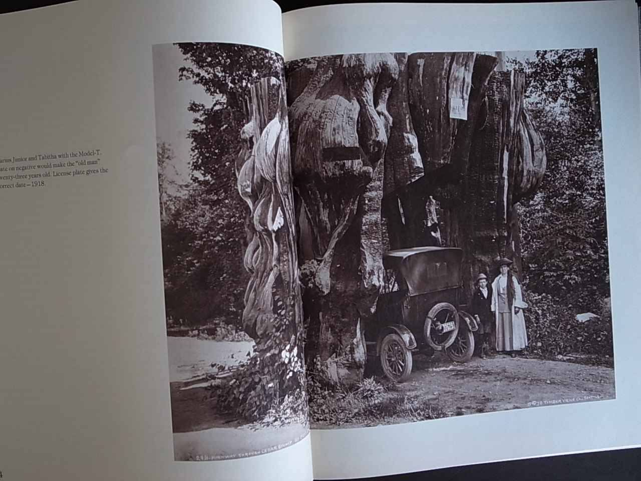 Kinsey Brothers Photographs of the Lumber Industry and the