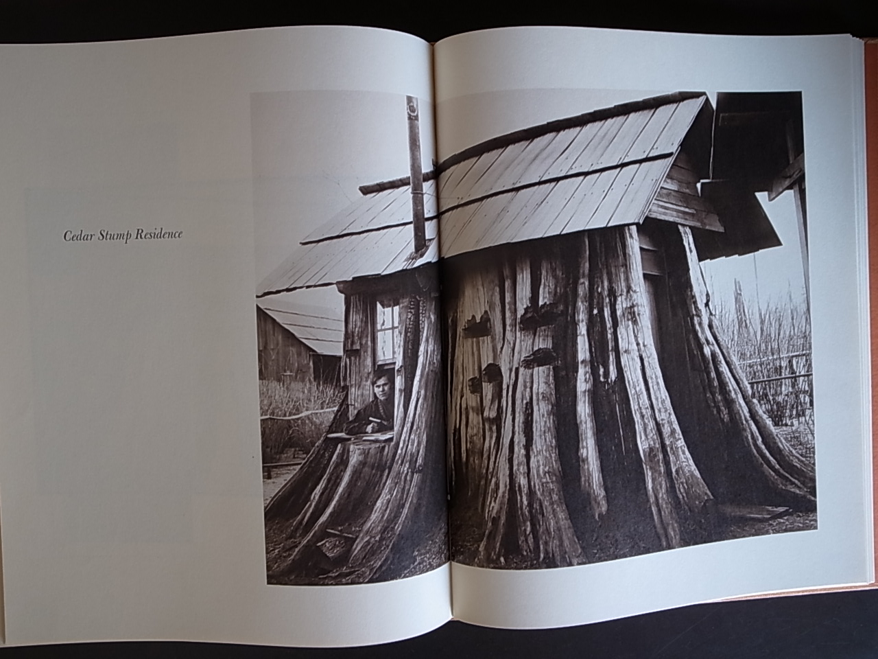 KINSEY PHOTOGRAPHER / Dave Bohn and Rodolfo Petschek : Books KINSEY PHOTOGRAPHER / Dave Bohn and Rodolfo Petschek : Books
