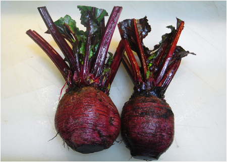 beet （火焔菜）_b0125136_14562082.jpg