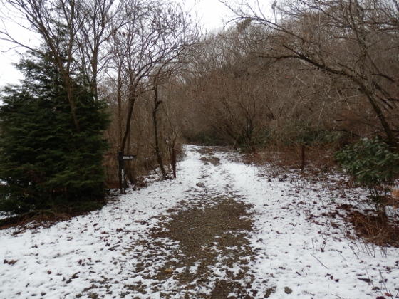 f0003138_1244453.jpg
