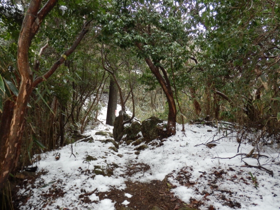 ２０１２．３．１１阿武隈山地南端の山歩き２御岩山～高鈴山_f0003138_1253596.jpg