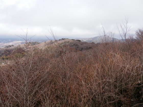 f0003138_13124554.jpg