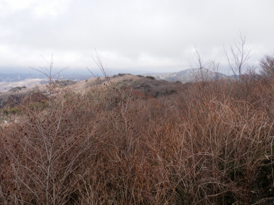 ２０１２．３．１１阿武隈山地南端の山歩き２御岩山～高鈴山_f0003138_13124554.jpg