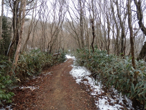 ２０１２．３．１１阿武隈山地南端の山歩き２御岩山～高鈴山_f0003138_13174554.jpg