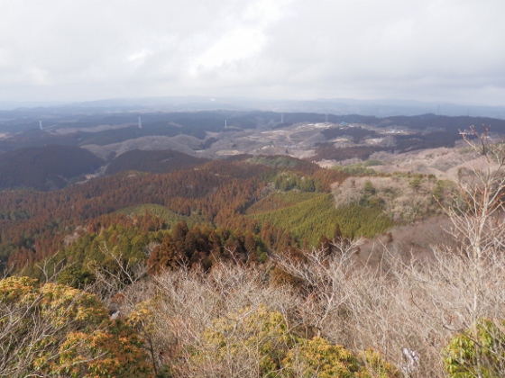 f0003138_1345424.jpg