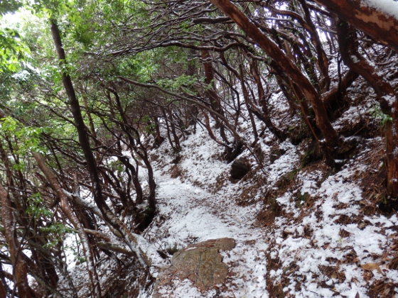 ２０１２．３．１１阿武隈山地南端の山歩き２御岩山～高鈴山_f0003138_1351391.jpg