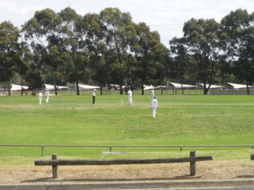 a0118447_82689.jpg