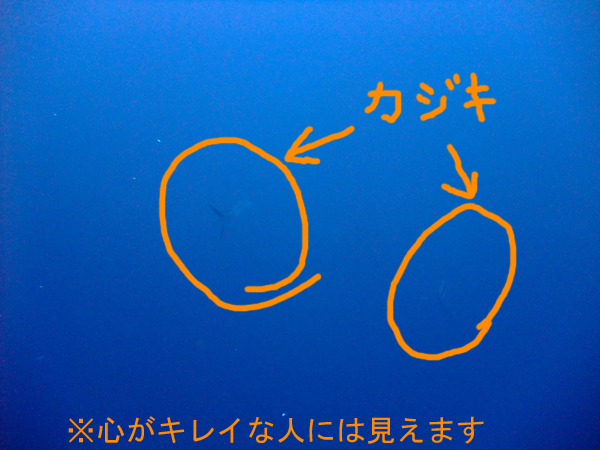 3月14日 ホワイトデーのプレゼント_d0113459_2172690.jpg
