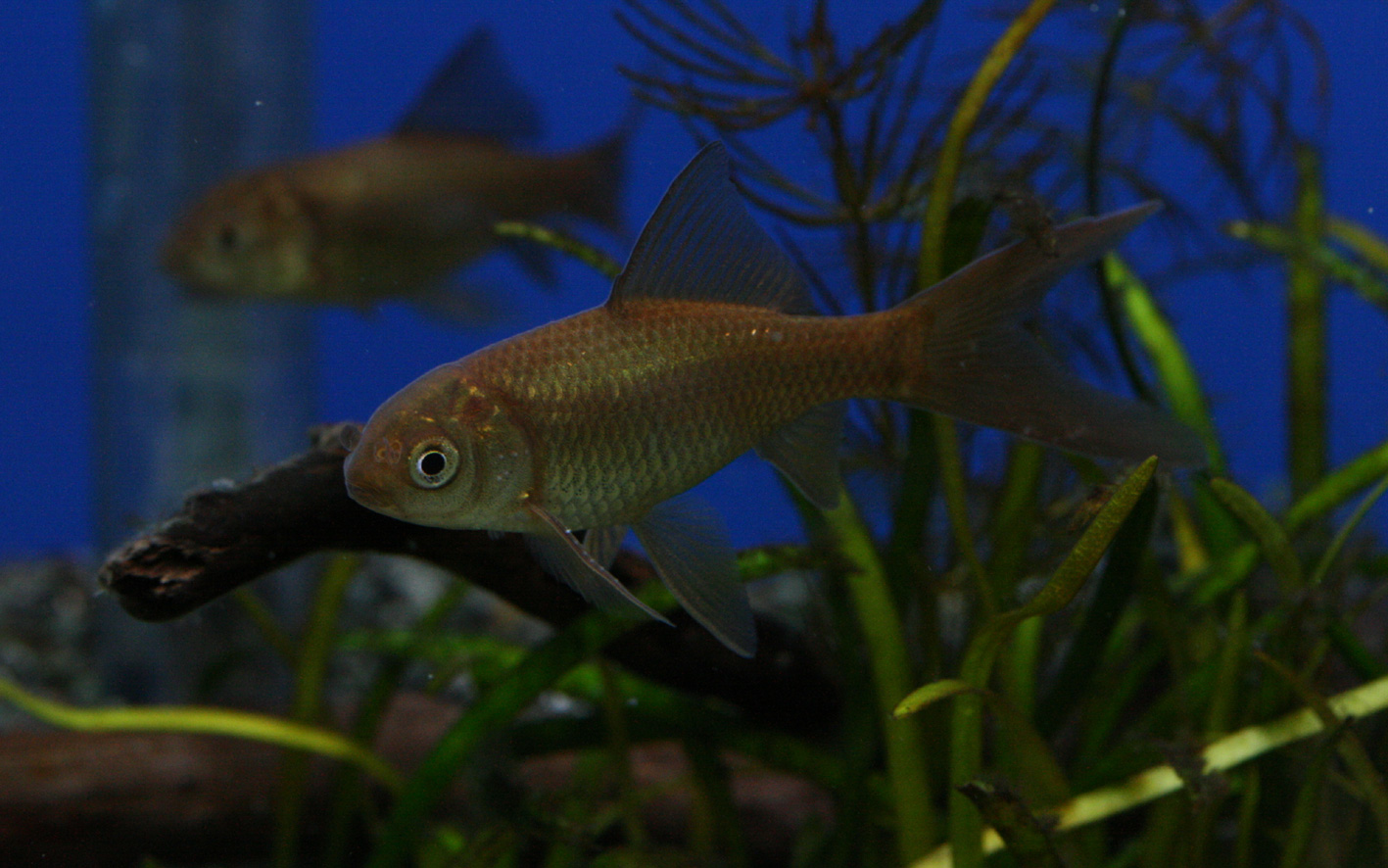 a0162263_220623.jpg