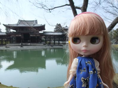 2012京都・平等院_b0059664_20353066.jpg