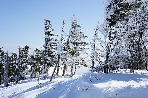 草津よいとこ　その2_b0188769_232956.jpg