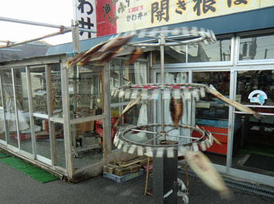 f0083977_22141324.jpg