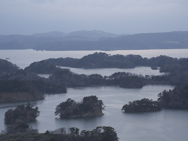 d0239781_1624487.jpg