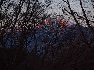 e0008887_7524191.jpg
