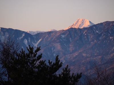 e0008887_803749.jpg