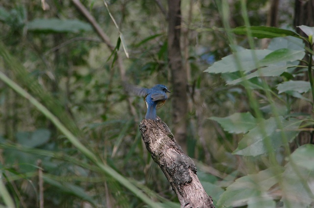 e0070891_18495577.jpg