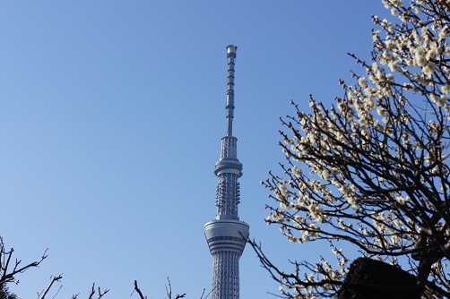 b0112909_20501847.jpg