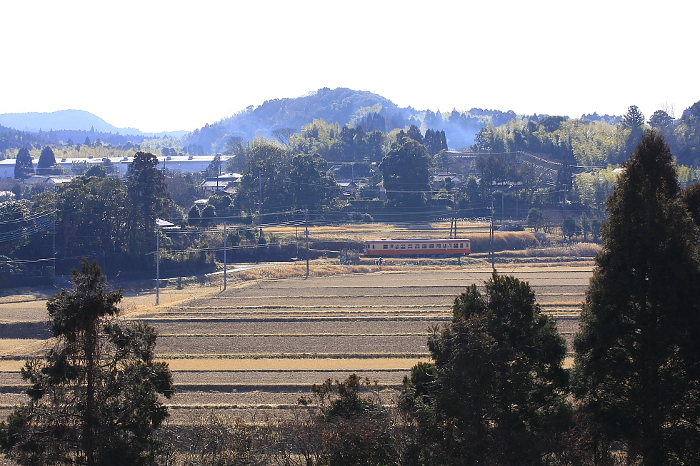 朝の光と気動車 - 2012年・いすみ -_b0190710_720943.jpg