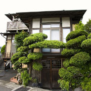 d0224712_11284519.jpg