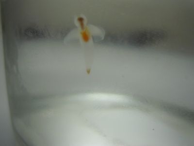 f0015614_819495.jpg