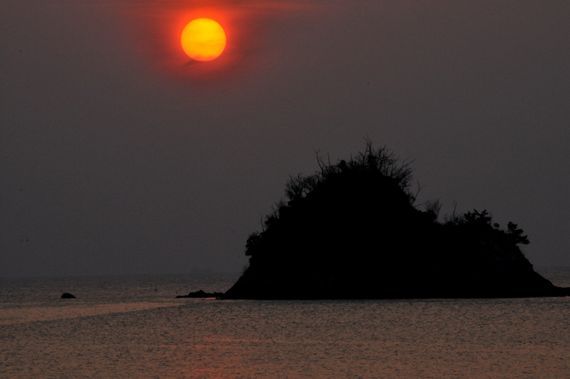 今日も鴨池から夕景_f0184314_1918854.jpg