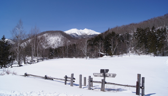 f0233414_20281567.jpg