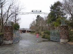 d0086228_1421737.jpg