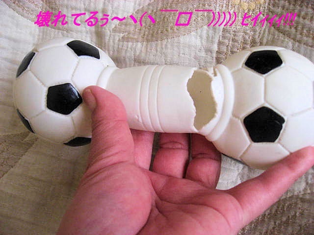 a0149240_11385728.jpg