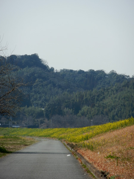 c0047341_8182946.jpg