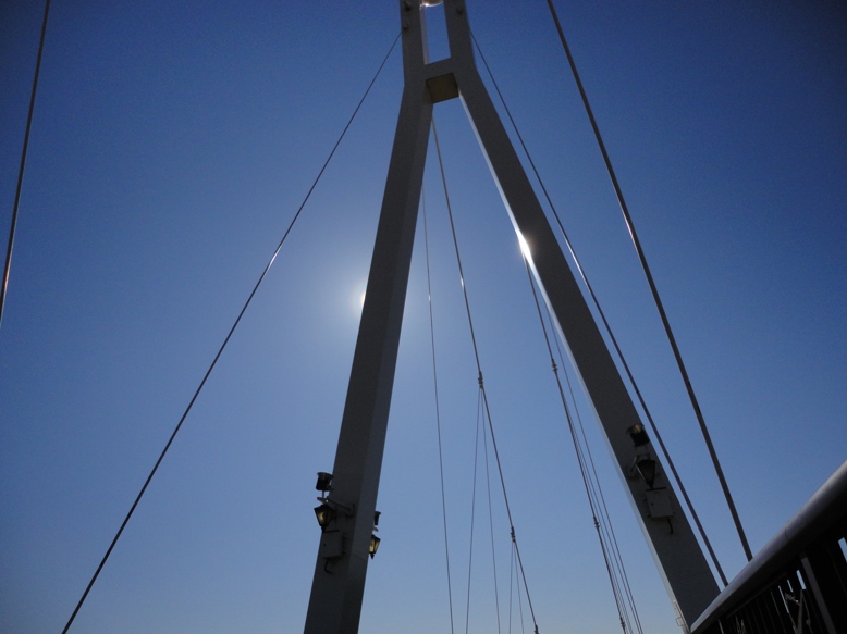 3月の陽射し 風にふかれて 感じたこと