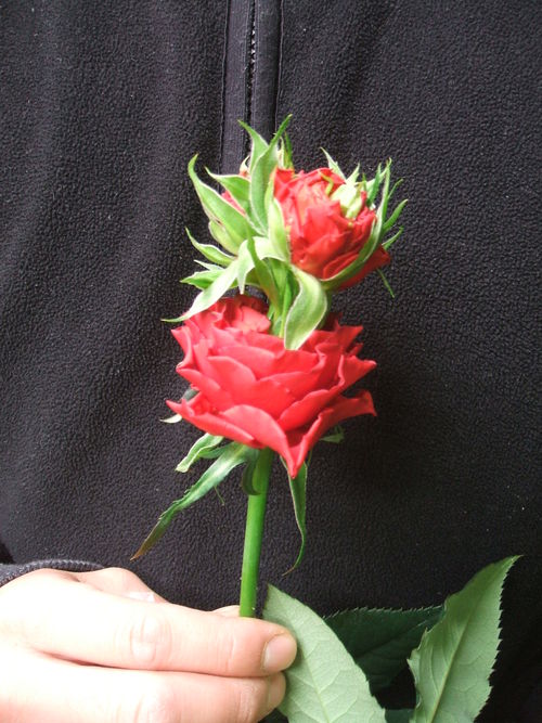 b0239952_06523.jpg