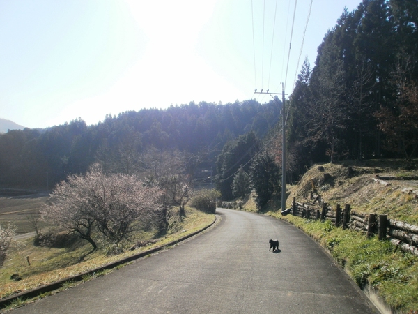 a0174458_002867.jpg