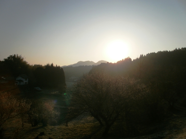 a0174458_23332260.jpg