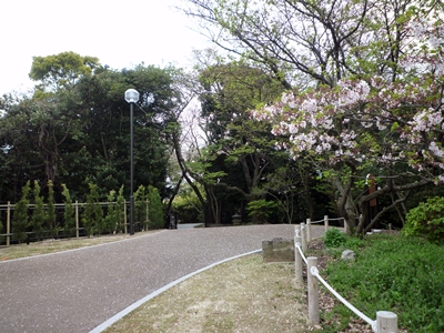 名島神社（６）倭国の将士たちはここで名乗りを挙げた_c0222861_13504833.jpg