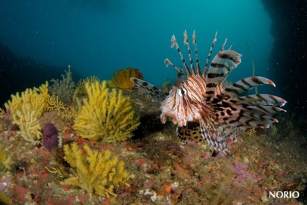 e0158261_50184.jpg