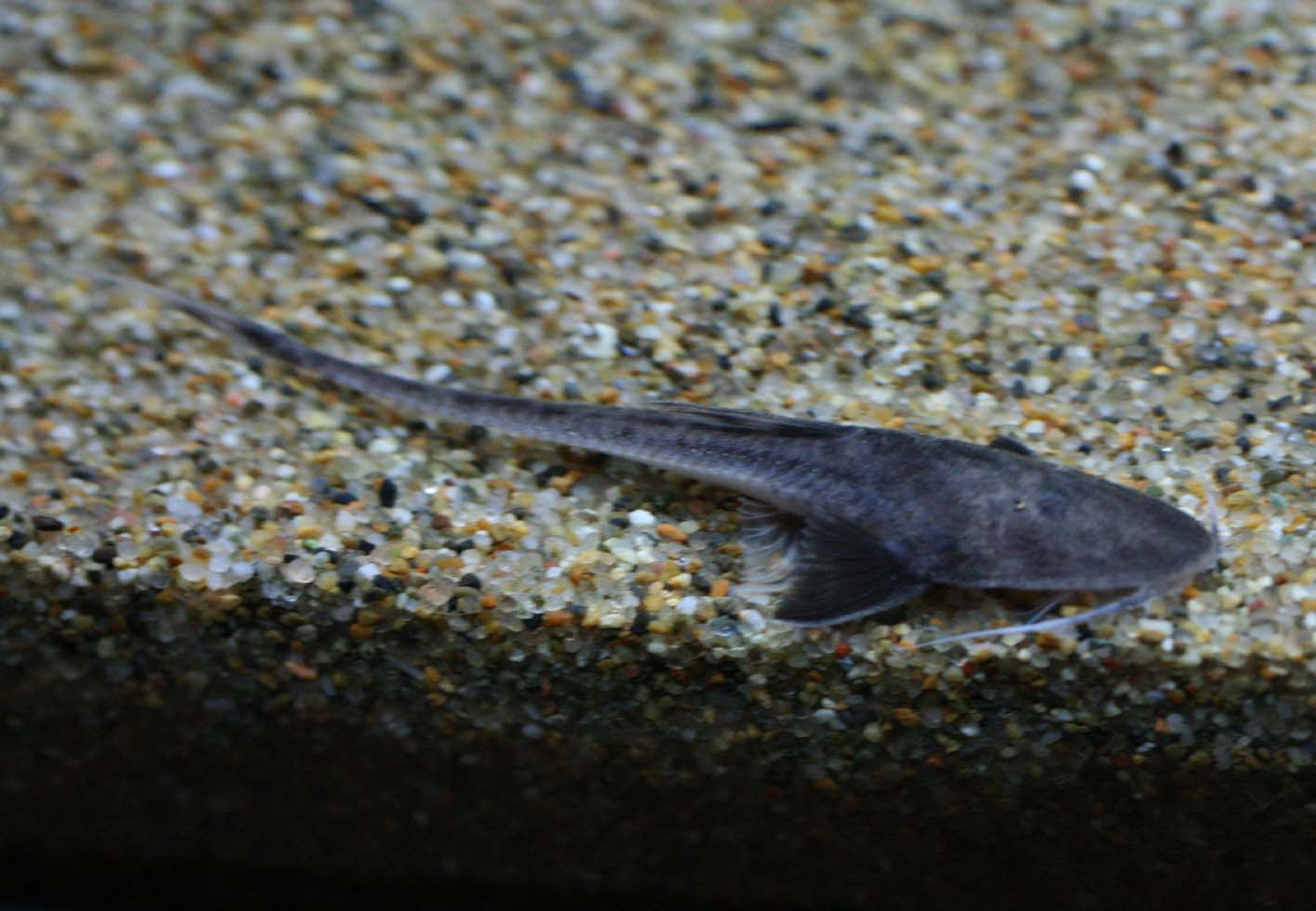 a0162263_21271382.jpg