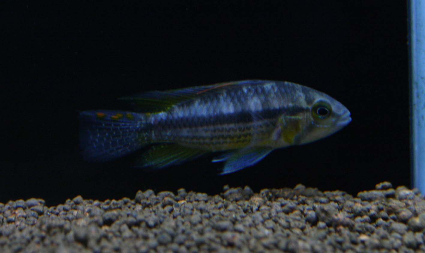 a0162263_21432857.jpg