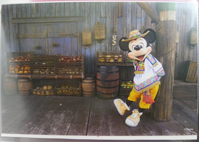 篠山紀信 サルードスミッキー Disney Postcard Collection 篠山紀信 サルードスミッキー Disney Postcard Collection