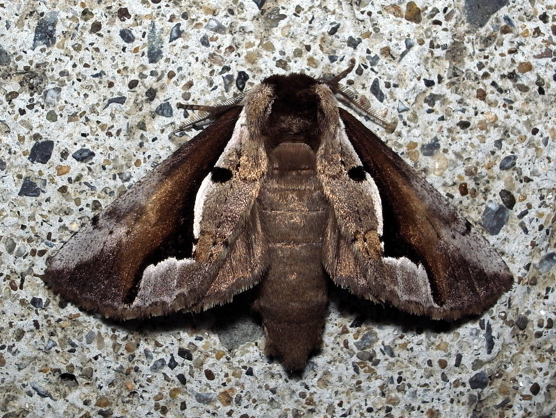 b0130166_20171567.jpg