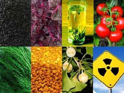 健全な食品と農業のためにローカルな食料システムを　米科学者と国連報告官_c0139575_229141.jpg