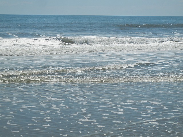 a0124077_10274464.jpg