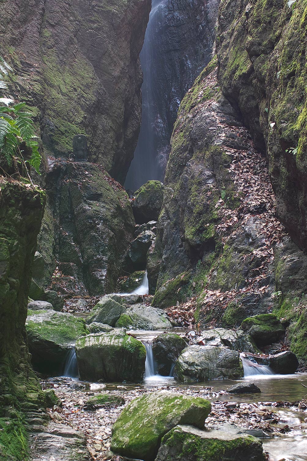 f0121181_024233.jpg