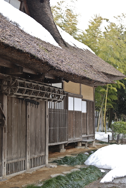 致道博物館　：　旅市 「庄内ひな街道おひなさまめぐり」（山形県鶴岡・酒田）_d0114093_16462582.jpg