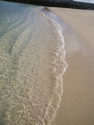 c0193396_152314.jpg